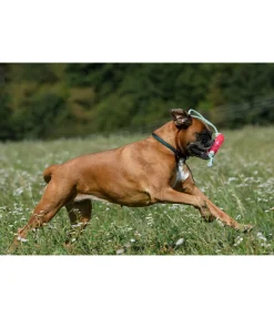 sugar dog Jouet pour chien Mia pink New