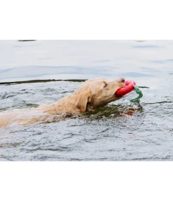 sugar dog Jouet pour chien Mia pink New