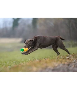 sugar dog Jouet pour chien Pineapple jaune New