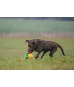 sugar dog Jouet pour chien Pineapple jaune New