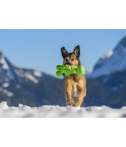 sugar dog Jouet pour chien Strong Dino vert Discount