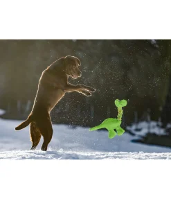 sugar dog Jouet pour chien Strong Dino vert Discount