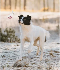 sugar dog Jouet pour chien avec couineur Unicorn Online