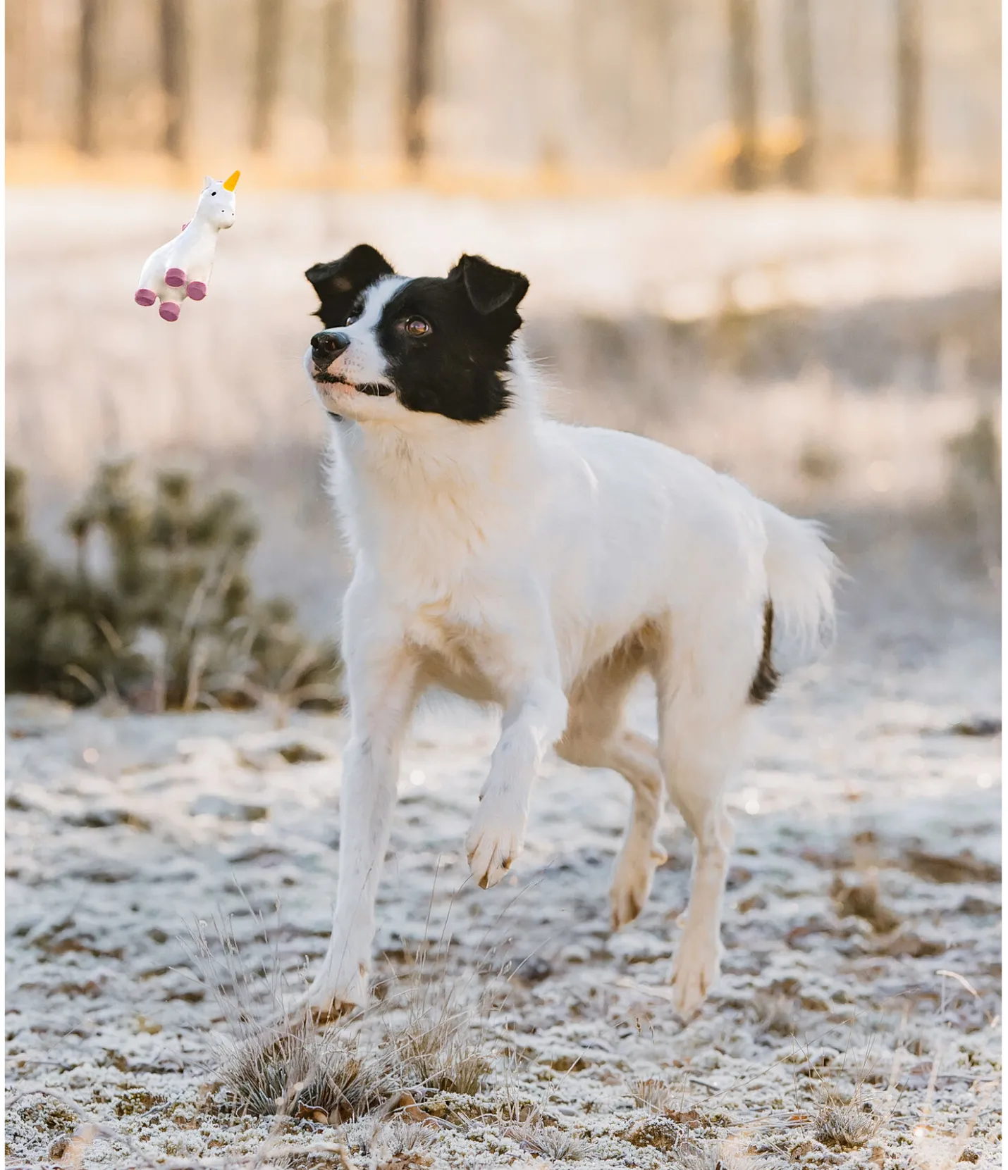 sugar dog Jouet pour chien avec couineur Unicorn Online