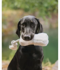sugar dog Jouet pour chiot Edda Online