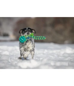 sugar dog Jouet soins dentaires pour chien Cleo turquoise Hot
