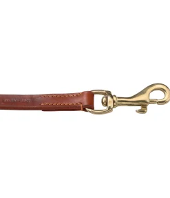 sugar dog Laisse en cuir pour chien San Gimignano brun /doré