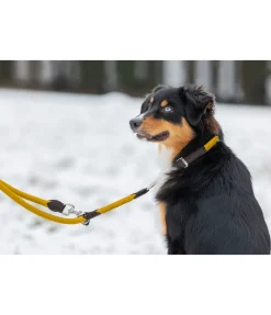 sugar dog Laisse pour chien Rope melon jaune Hot