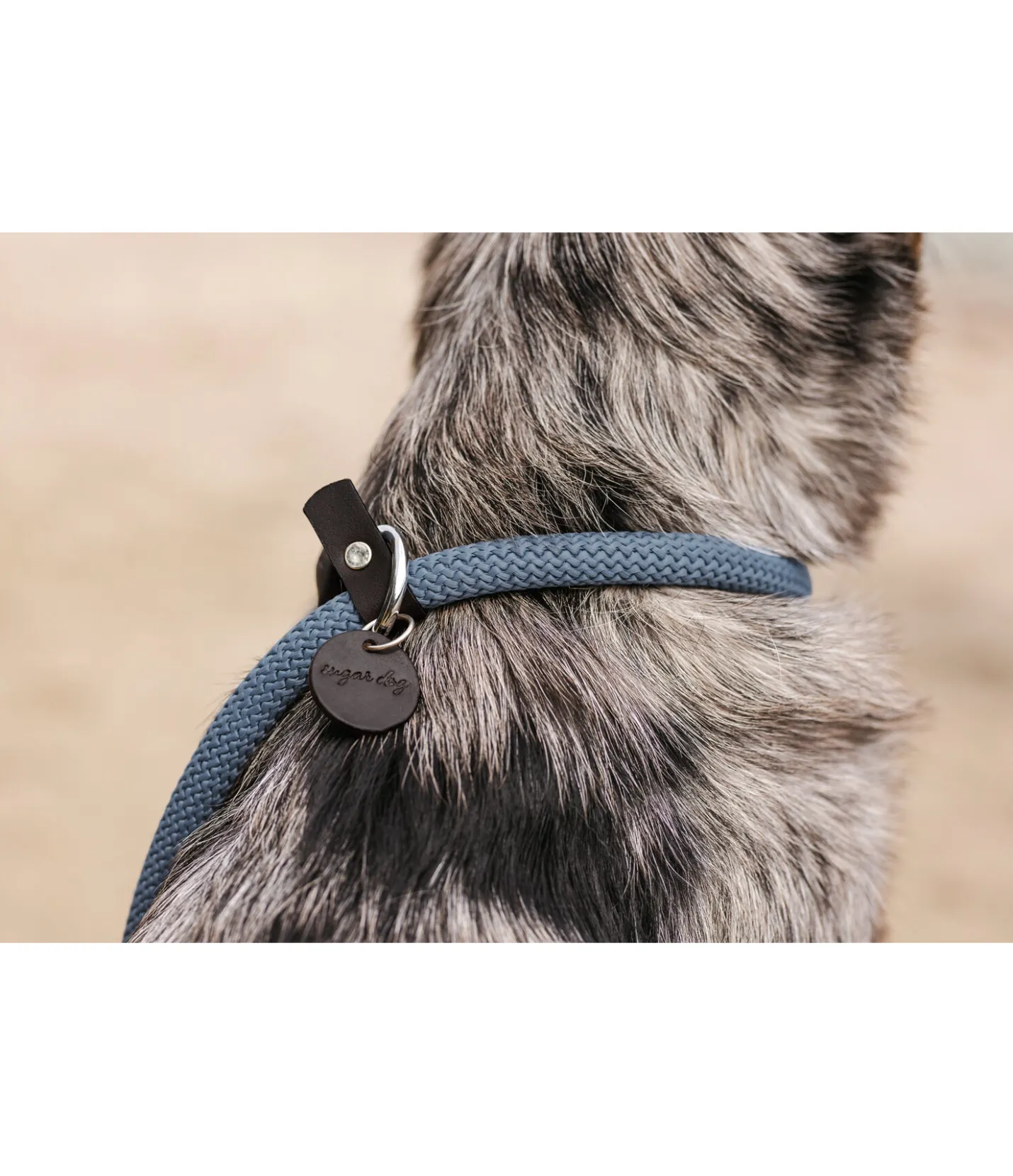 sugar dog Laisse retriever Nature Rope bleu dauphin Discount