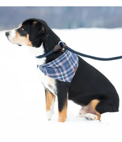 sugar dog Laisse retriever Nature Rope bleu dauphin Discount