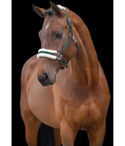 Felix Bühler Licol Charlotte vert d´eau Best
