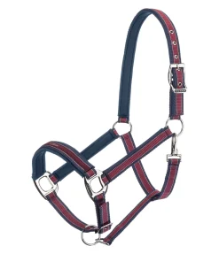 Felix Bühler Licol Essential II wild berry Online
