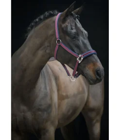 Felix Bühler Licol Essential II wild berry Online