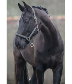 Felix Bühler Licol Essential II denim clair Best