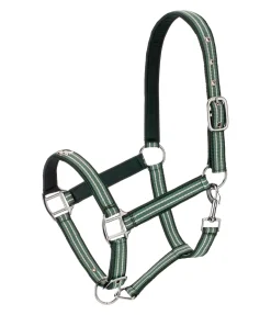 FENGUR Licol Floki vert foncé Sale