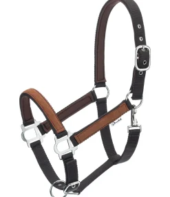 STONEDEEK Licol Forster marron foncé Clearance