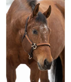 STONEDEEK Licol Forster marron foncé Clearance