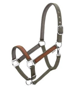 STONEDEEK Licol Forster vert mousse Discount