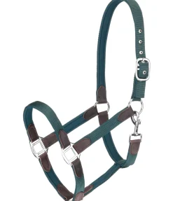Felix Bühler Licol Kate vert d´eau Sale