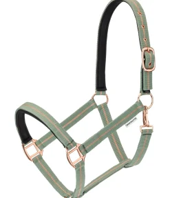 SHOWMASTER Licol Shimmering olive Hot