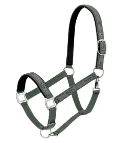Felix Bühler Licol Signature II origan Clearance