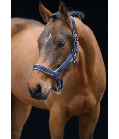 Felix Bühler Licol anatomique Relaxation navy classique Outlet