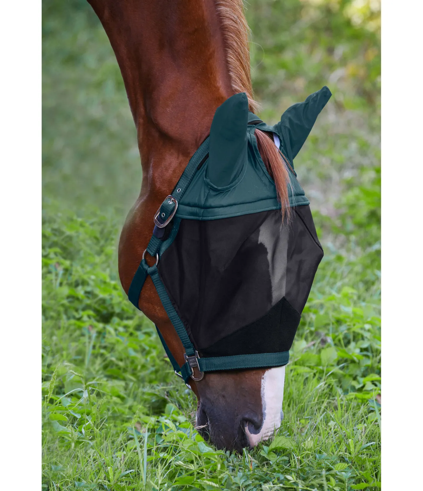 Felix Bühler Licol avec masque anti-mouches intégré All-In-One vert d´eau Best