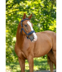 SHOWMASTER Licol de travail navy Sale