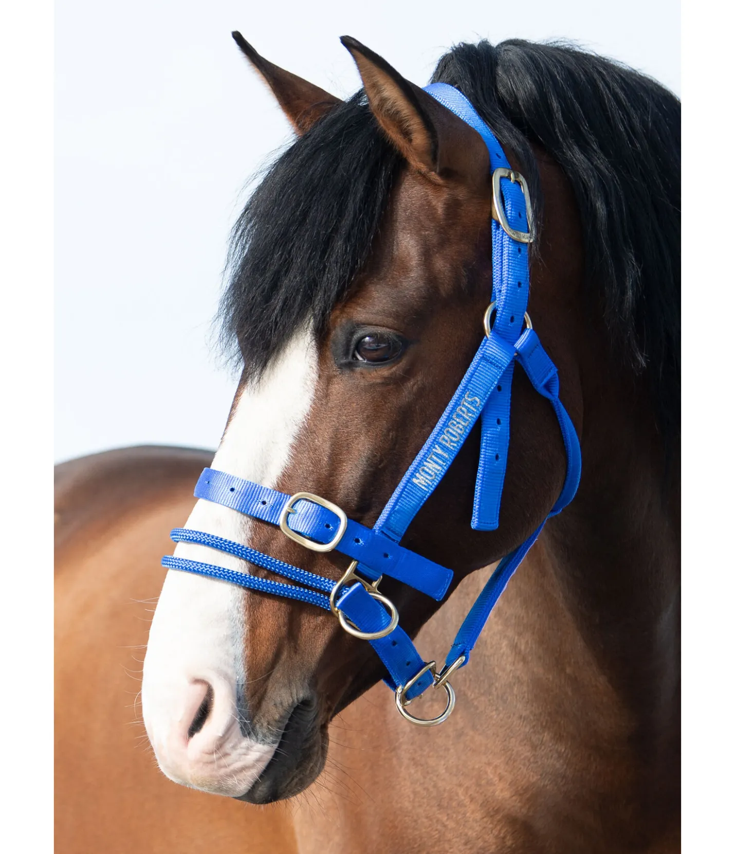 Monty Roberts Licol Dually bleu Discount