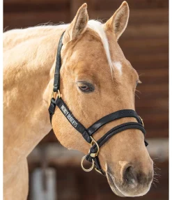 Monty Roberts Licol Dually noir New