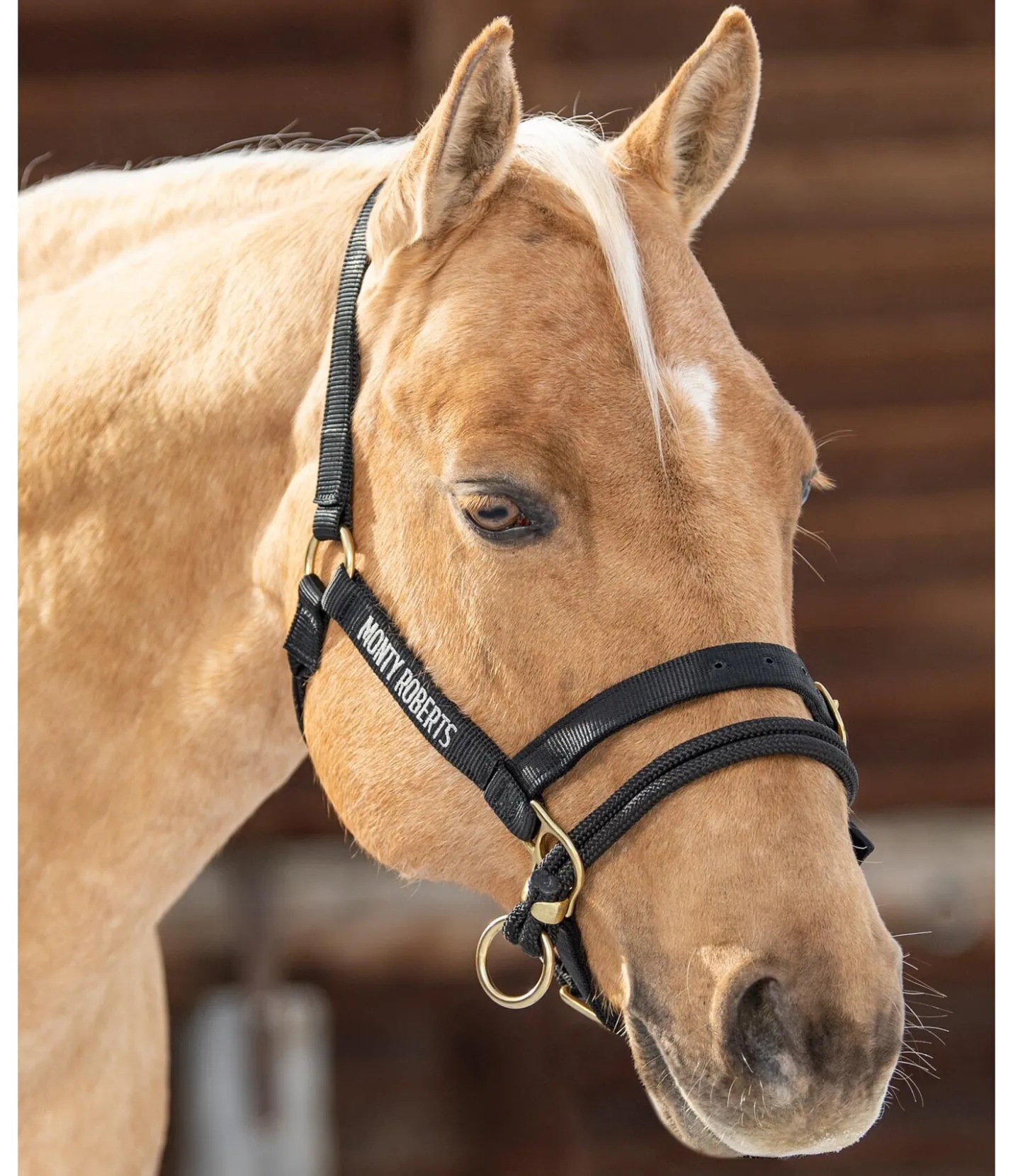 Monty Roberts Licol Dually noir New