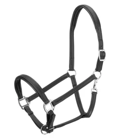 CLARIDGE HOUSE Licol en cuir synthétique SYLKA Animal Friendly noir/argenté Hot