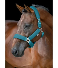 Felix Bühler Licol en mesh Airflow turquoise foncé New