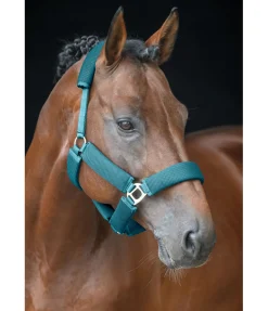 Felix Bühler Licol en mesh Airflow turquoise foncé New