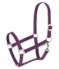 SHOWMASTER Licol en nylon à prix cassé violet guimauve Clearance