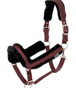 Felix Bühler Licol en polaire Teddy Anatomical Relaxation acajou