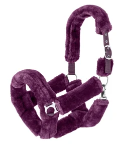 SHOWMASTER Licol en polaire Teddy Protection violet guimauve New