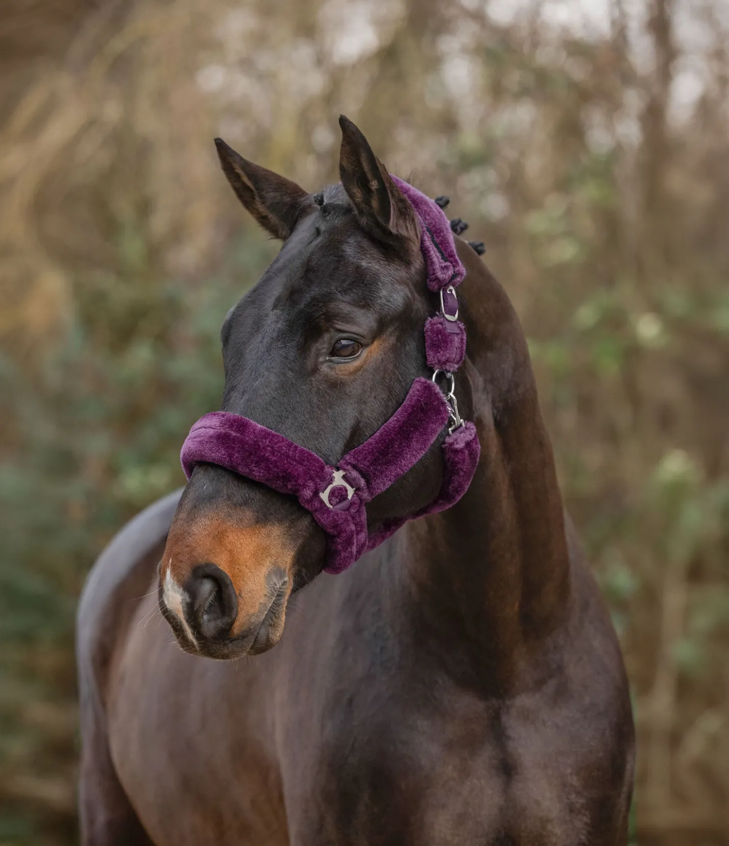 SHOWMASTER Licol en polaire Teddy Protection violet guimauve New