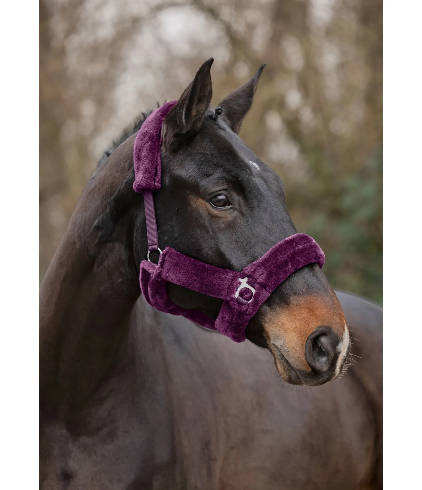 SHOWMASTER Licol en polaire Teddy Protection violet guimauve New