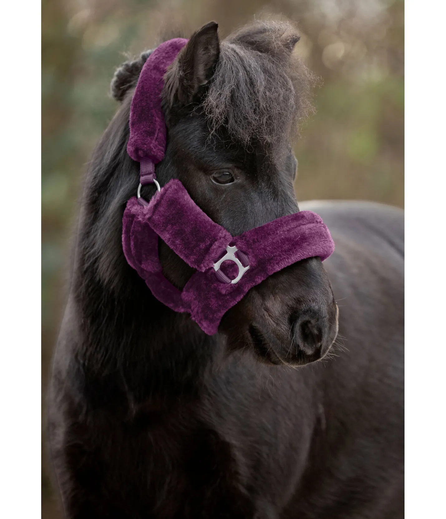 SHOWMASTER Licol en polaire Teddy Protection violet guimauve New