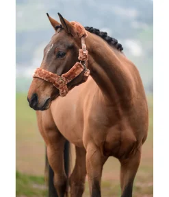 SHOWMASTER Licol en polaire Teddy Protection caramel New