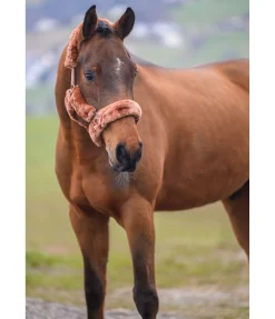 SHOWMASTER Licol en polaire Teddy Protection caramel New