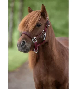 Felix Bühler Licol poulain et shetland Twinkle bordeaux Online