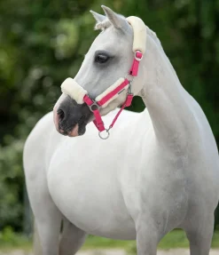 SHOWMASTER Licol poulain et shetland en polaire Teddy Cozy Adjustable lotus Online