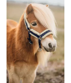 Felix Bühler Licol pour poulain et shetland Shine navy classique New