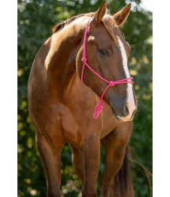 STONEDEEK Licol éthologique Bo fuchsia Hot