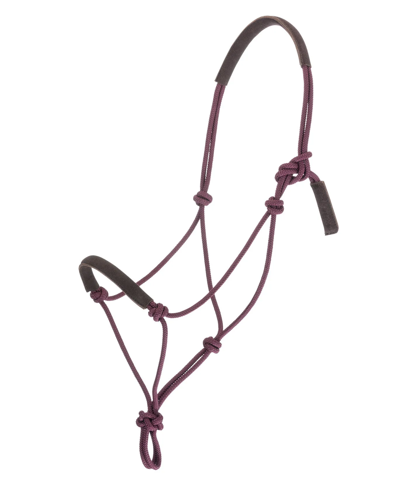 STONEDEEK Licol éthologique Cuero cassis Sale