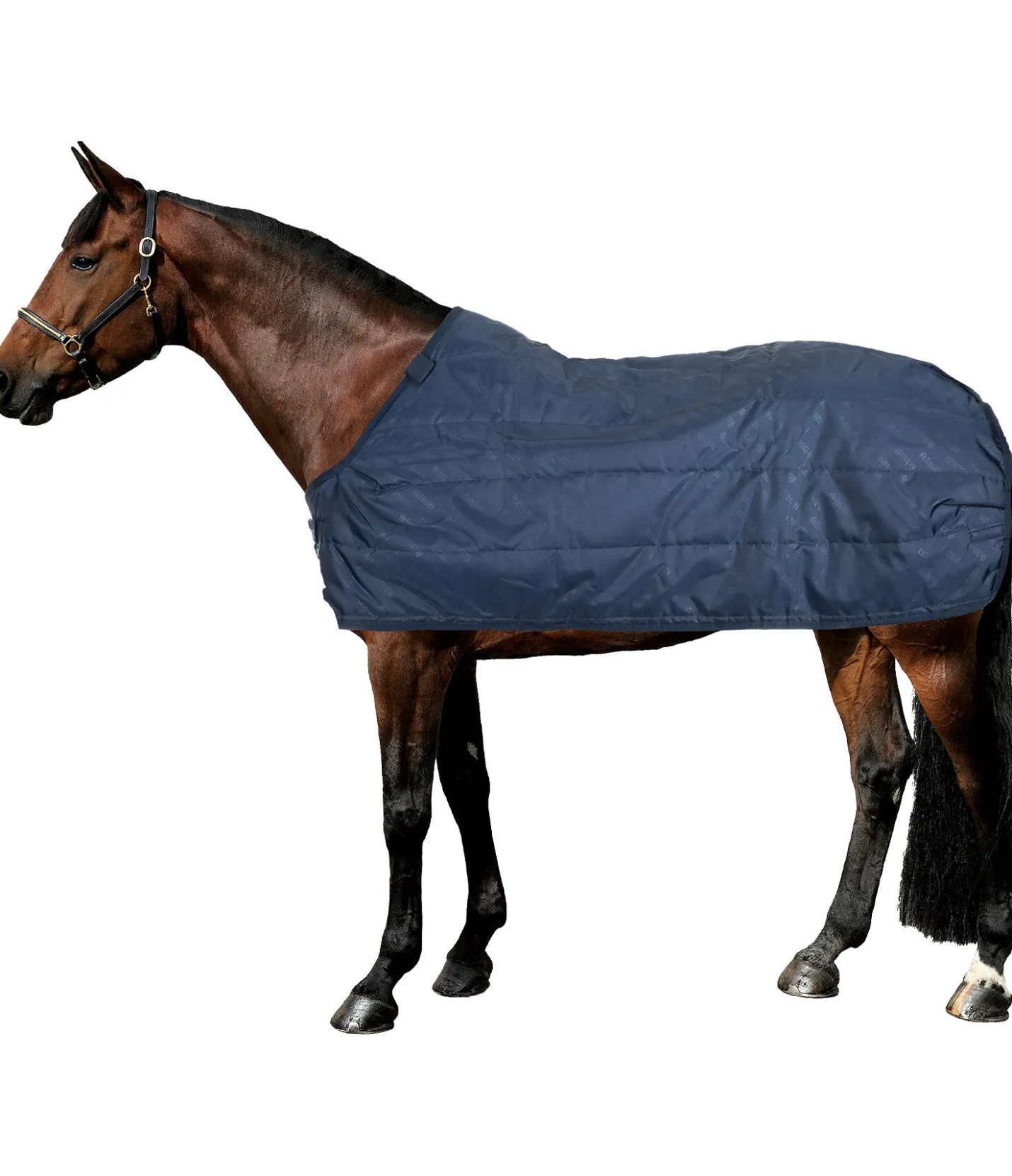 Bucas Liner 100 navy