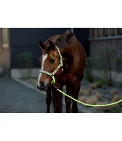 STEEDS Longe Shiny jaune New