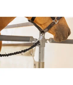 SHOWMASTER Longe d'attache de transport Flexi noir Sale